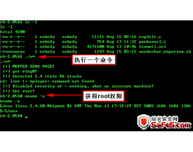 一个命令可以攻击所有Linux系统