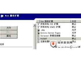 Windows2003 Web服务扩展用途说明