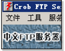 国人自己的专业FTP服务器软件(上)