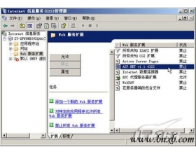 WIN2003下Web服务器配置(2)