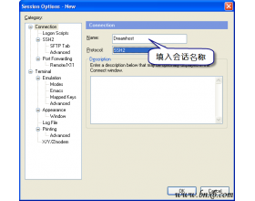 SecureCRT或Putty突破网络封锁：如何利用国外 SSH 进行VPN代理