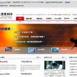 拓宽seo谷歌快照