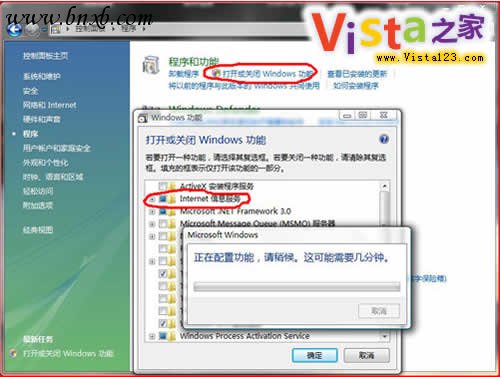 浅谈Win Vista下IIS7的安装过程