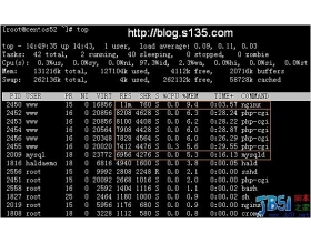 Nginx 0.7.x + PHP 5.2.6（FastCGI）+ MySQL 5.1 在128M小内存VPS服务器上的