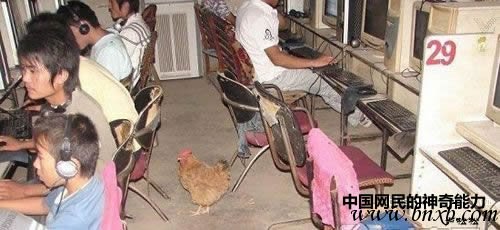 给在公司做网络推广专员的一些建议