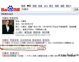 案例分析:门户网站SEO的细节