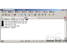 网站日志处理工具Awstats：处理多Apache日志