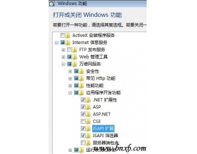 win2008下IIS7、IIS7.5 配置ASP+ACCESS使用环境
