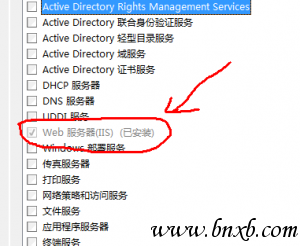 iis 300x246 Windows Server 2008下搭建php开发环境(IIS FastCGI版)