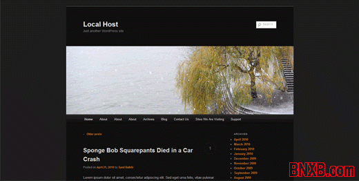 WordPress 3.2 默认主题 Twenty Eleven