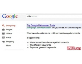 由于垃圾站太多 Google搜索完全清除了所有.co.cc网站