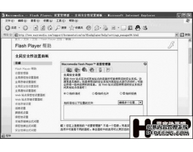 好玩但又很安全！看Flash安全巧设置