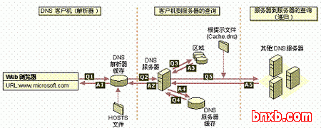 了解DNS服务器的工作原理及其过程