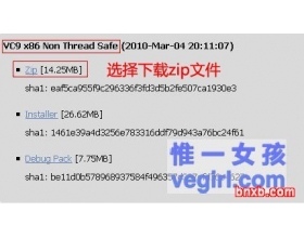 IIS+FastCGI+PHP5.3+MySQL5.1+Gzip详细教程