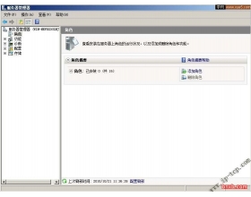 Windows Server 2008 DNS服务器安装与配置